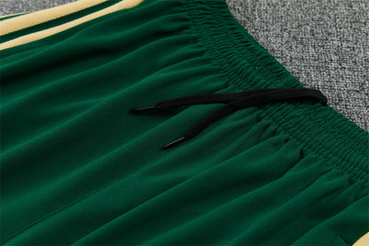 2026/2027 Italy Blue Half Zipper White Green Tracksuit