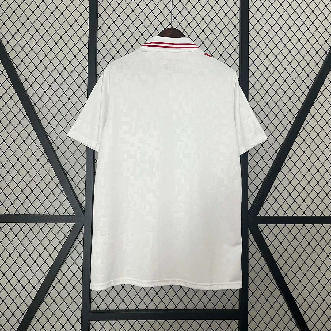 2024 Denmark National Team Away Football Shirt 1:1 Thai Quality