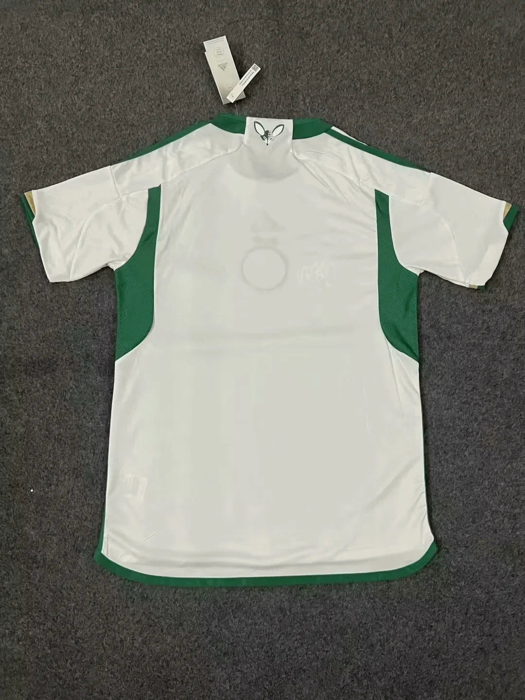 2023/2024 Algeria National Team Home Shirt