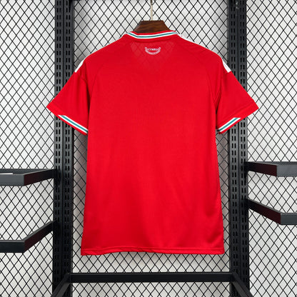 2026 Wales Home World Cup 2026 Football Jersey