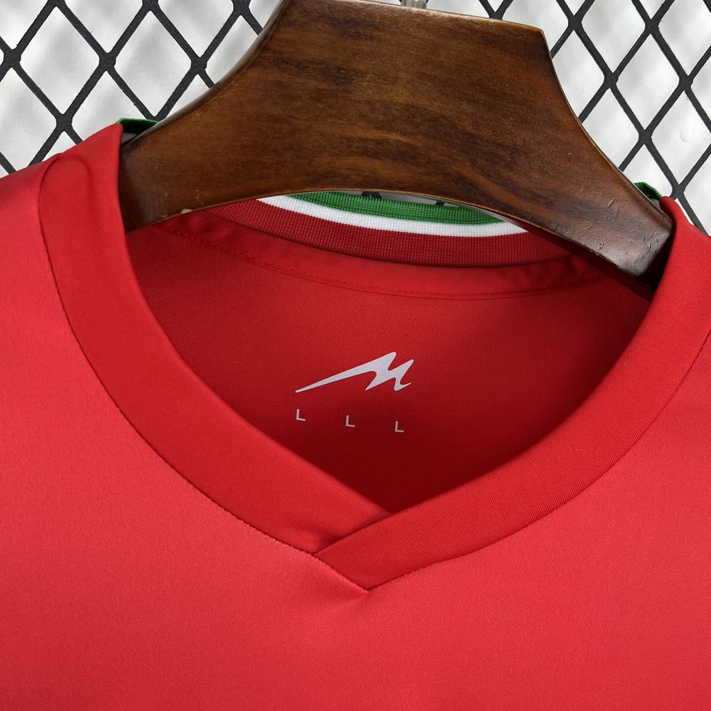 2026 Iran World Cup Away Football Jersey