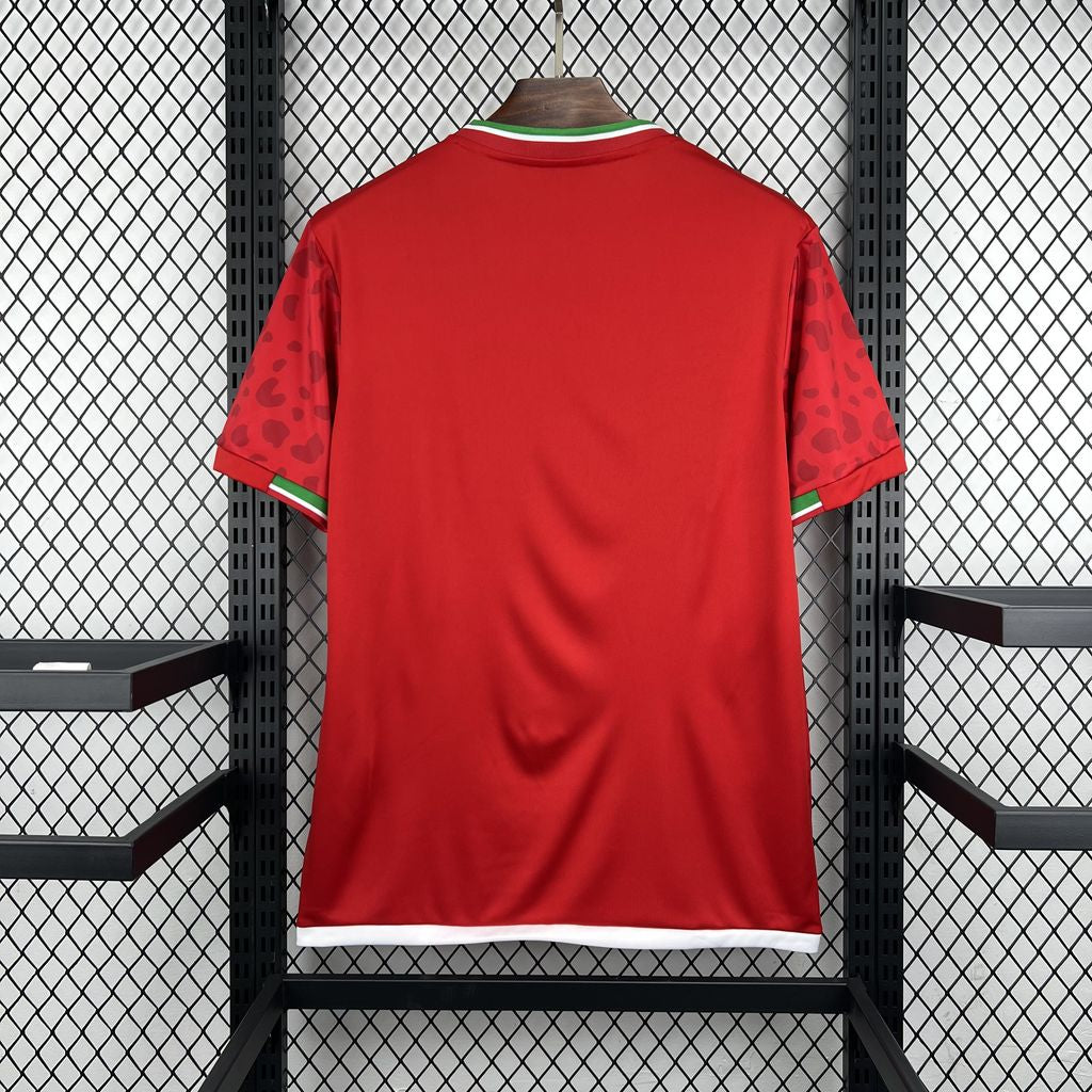 2026 Iran World Cup Away Football Jersey