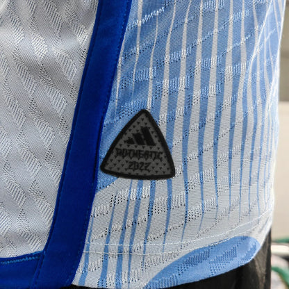 2022 FIFA World Cup Spain Away Soccer Shirt - Player Version