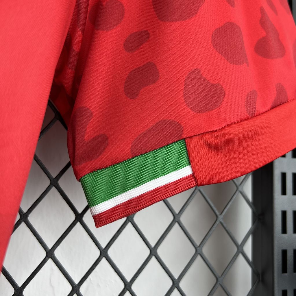 2026 Iran World Cup Away Football Jersey
