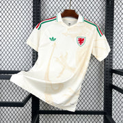 2026 Wales Away World Cup Football Jersey